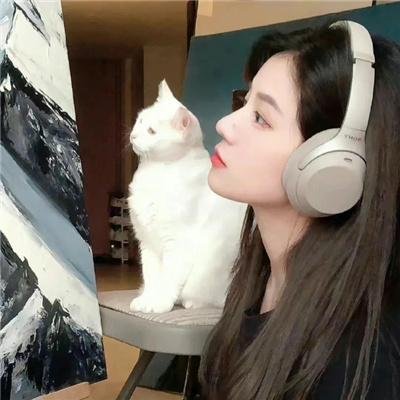 我的财务工作