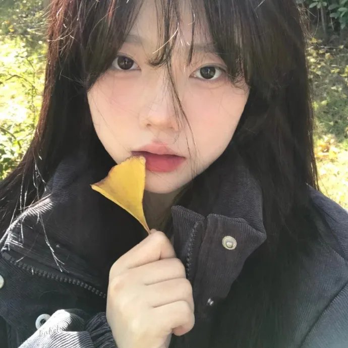 蒙巴纳斯