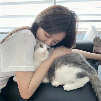 丈母娘来了